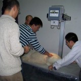 动物专用摄影床台