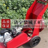 邵阳手推式汽油塑胶跑道划线机 体育场篮球场人造草坪划线机