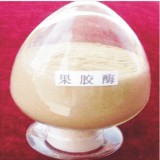 酶制剂果胶酶 果胶酶作用 果胶酶添加量