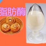 酶制剂脂肪酶 食品级脂肪酶添加量