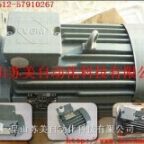 VEM标准三相异步电机