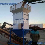 临汾内蒙古小麦散料累加称流量秤精确度DCS-L20