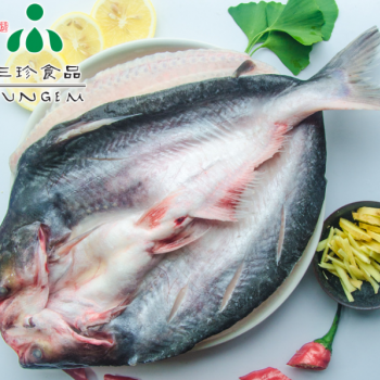 厂家直销安徽三珍食品冷冻开背巴沙鱼 烤鱼食材