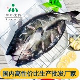 供应厂家直销安徽三珍食品冷冻开背鮰鱼 烤鱼半成品食材