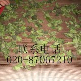 微波茶叶杀青干燥机
