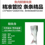 新鲜冷冻花鲢鱼身 厂家直销
