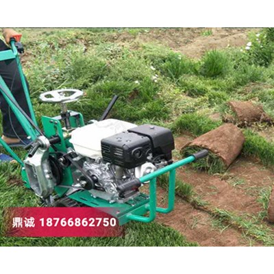陕西西安机械式四季青草坪移植机 马尼拉草皮汽油起草皮机