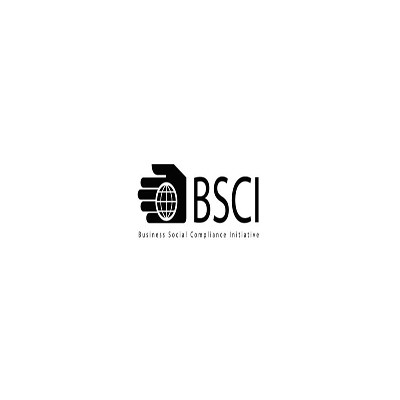 BSCI认证管理手册目录深圳睿鼎详情解说