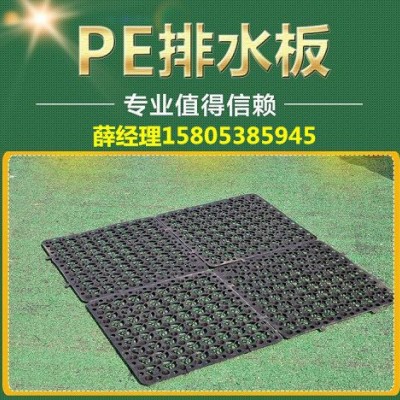 郴州2公分3公分蓄排水板=车库绿化透水板