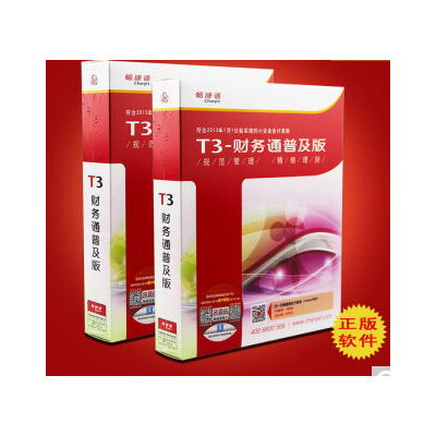 东莞财务软件