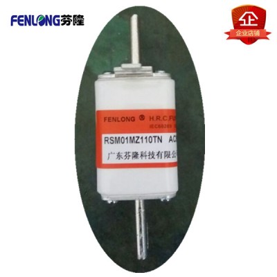 RSM01MZ110TN快速熔断器订做