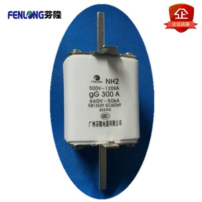 NH2方管刀形熔断器订做-FENLONG芬隆品牌