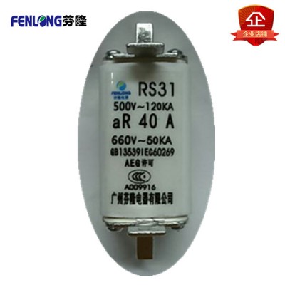RS31快速熔断器订做-芬隆品牌