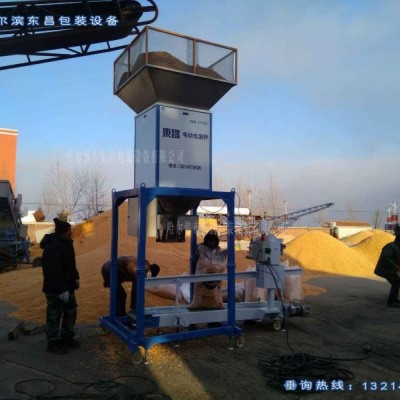 大庆玉岗镇红豆精准度高自动包装秤哪家好