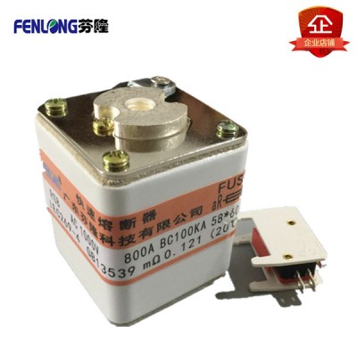 RS8-P105N半导体平板式快速熔断器订做-芬隆品牌