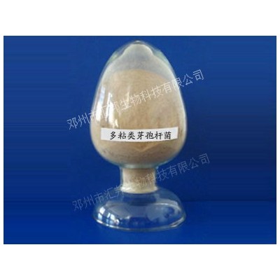 多粘类芽孢杆菌