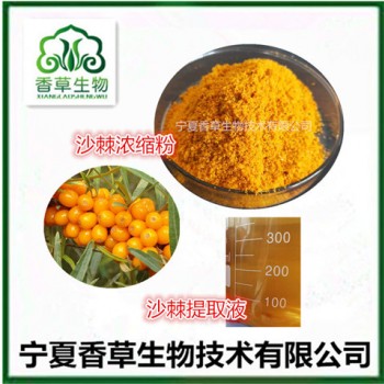沙棘果粉厂家 沙棘果皮纤维粉批发 沙棘冻干粉 沙棘提取物