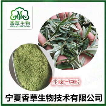 沙棘叶粉厂家 沙棘叶黄酮 沙棘嫩叶茶原料供应商