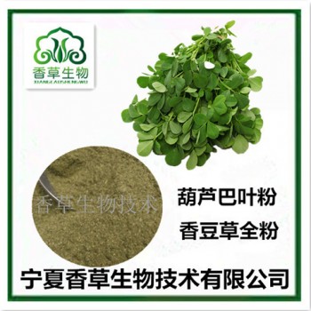 葫芦巴叶粉宁夏产地供应 葫芦巴嫩叶粉批发