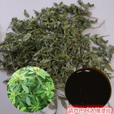 葫芦巴叶浸膏厂家 葫芦巴叶浓缩液批发 宁夏苦豆子提取液