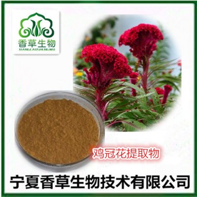 鸡冠花提取物 鸡髻花浓缩液 老来红浓缩浸膏批发 鸡冠花水溶粉