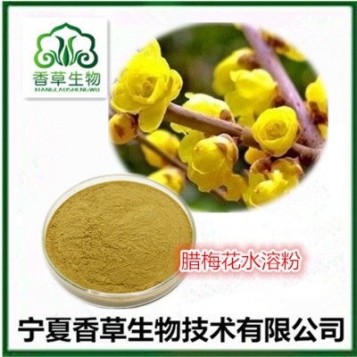 腊梅花提取物 腊梅花粉 黄梅花浓缩液 铁筷子花浓缩浸膏批发