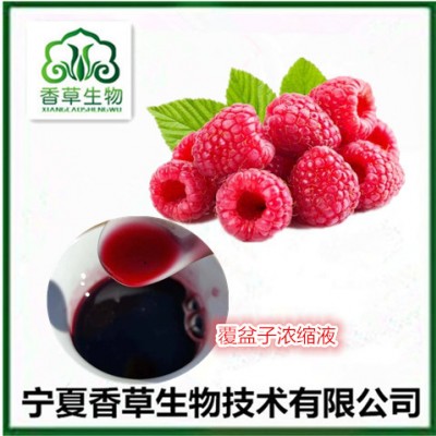 覆盆莓原浆 覆盆子浓缩液 覆盆莓果酱冲饮原料 覆盆子粉厂家