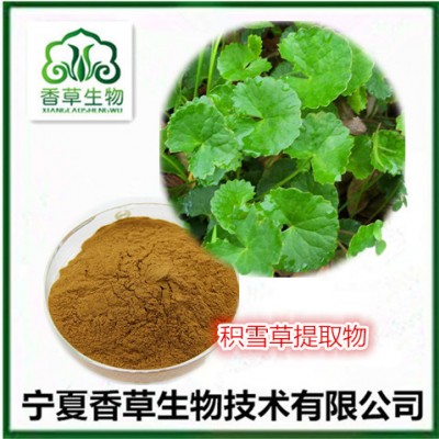 积雪草提取物 积雪草水溶粉 积雪草浓缩液 崩大碗浓缩浸膏