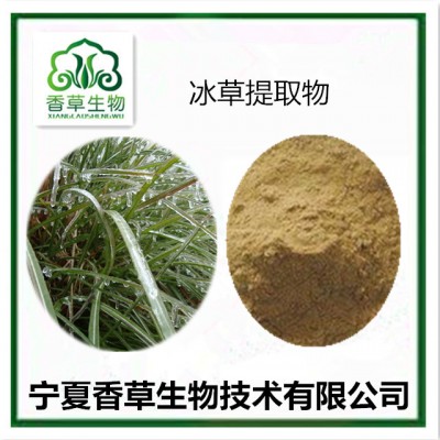 冰草根提取物 宁夏冰草根粉厂家 冰草叶粉现货 野生滨草浓缩液