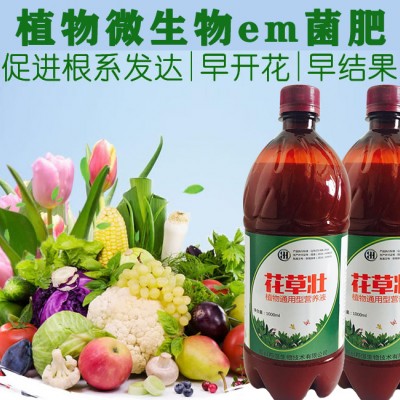 火龙果的这些小点到底啥原因？
