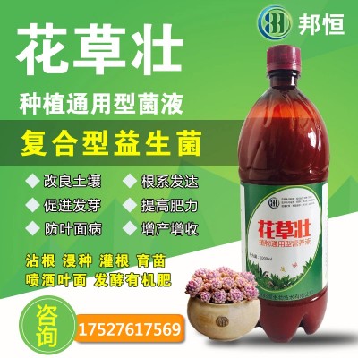 果树用的新型肥料有哪些不错的