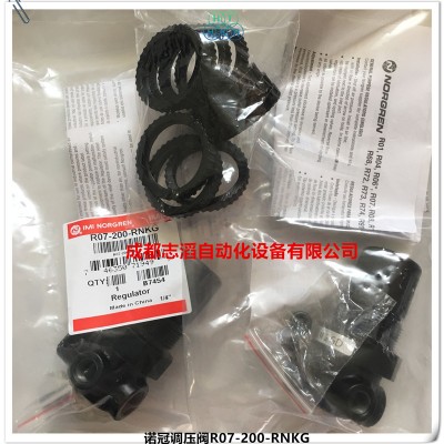 R07-200-RNKG英国诺冠管接式调压阀