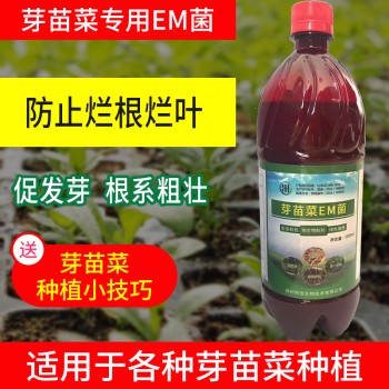 黄豆芽催芽的办法
