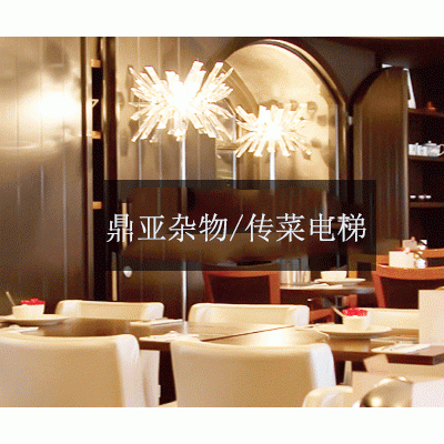 山东鼎亚电梯CTE杂物电梯/传菜电梯