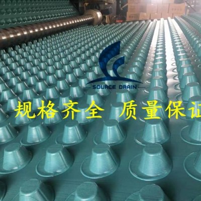 绿色塑料排水板/凸片排水板（程源厂家发货