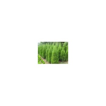 山西蜀侩 占地蜀侩