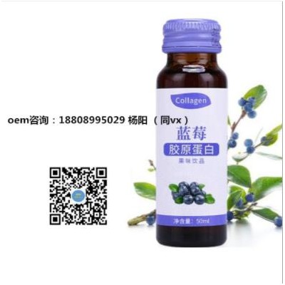接骨木莓植物原浆 黑莓蓝莓原浆 益生元饮品ODMODM代加工