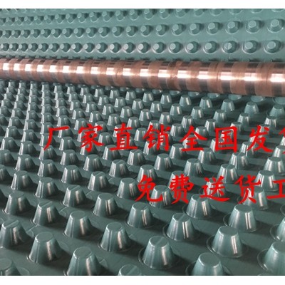 30高车库排水板---排水板供应