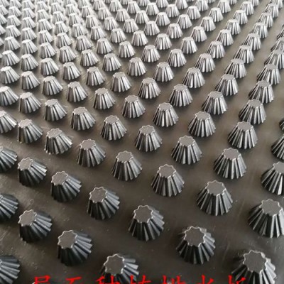 屋顶种植/绿化种植排水板--质量保证货到付款