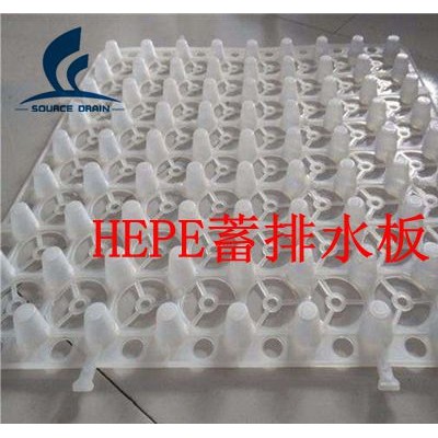 hdpe排水板 蓄排水板厂家供应 欢迎询价