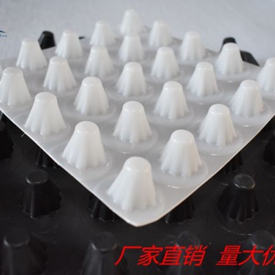 2公分排水板 车库专用排水板 规格//型号