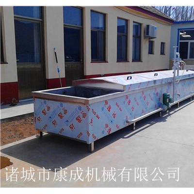 金针菇漂烫机 南瓜漂烫机 全自动果蔬预煮机