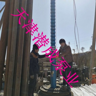 天津250QJ63-210-63kw潜成深井潜水泵厂家报价