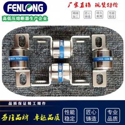 CR2L快速熔断器订做-芬隆品牌原厂正品