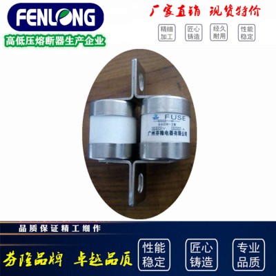 RGS77快速熔断器订做-芬隆品牌