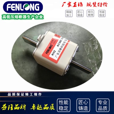 RSM01MZ110TN快速熔断器-FENLONG芬隆品牌