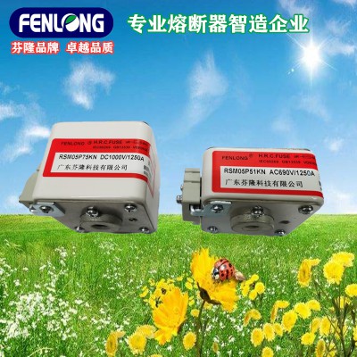芬隆牌熔断器RSM系列平板式直流交流快速熔断器