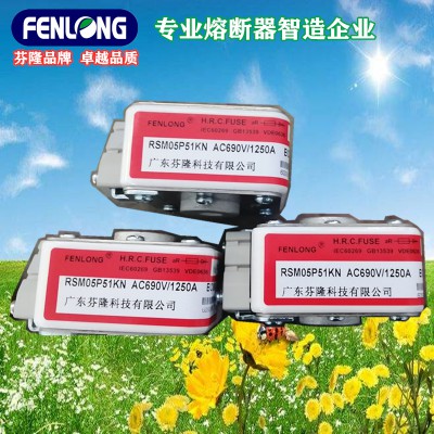 广东RS8快速熔断器订做-芬隆品牌