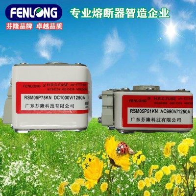 RS9-800V/750A半导体快速熔断器订做