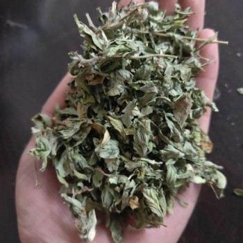 苦豆子粉80目 香豆子粉 宁夏葫芦巴叶粉香料调味料
